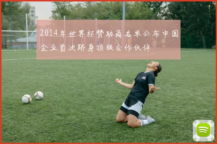 2014年世界杯赞助商名单公布中国企业首次跻身顶级合作伙伴